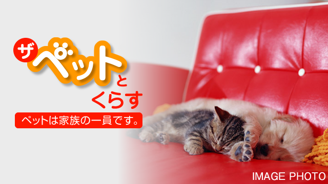 �����ڥåȤȤ��餹